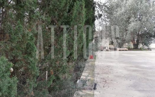 Solar urbano único en Es Pla de Na Tesa Marratxí