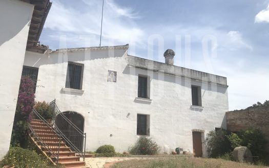 MASÍA EN EL PAPIOL