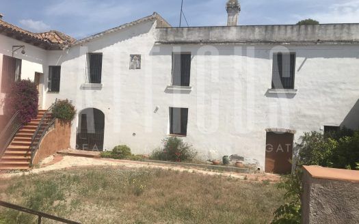 MASÍA EN EL PAPIOL